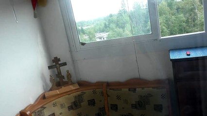 На меня напала бабочка, я её простил