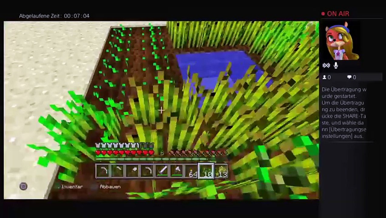 Minecraft surival mode (6)