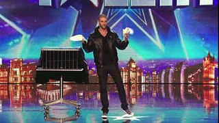 World Record Magic by Darcy Oake