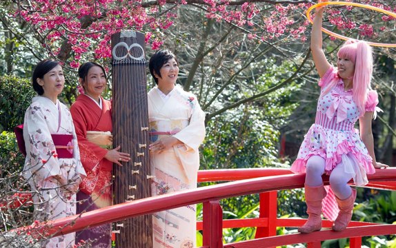 Sydney Cherry Blossom Festival 2016 Part 3 of 3HD , Cherry Blossom & photos, Garrett Kato, Satsaui Odamura, Sumo Wrestling Auburn, 20-28 Aug 2016