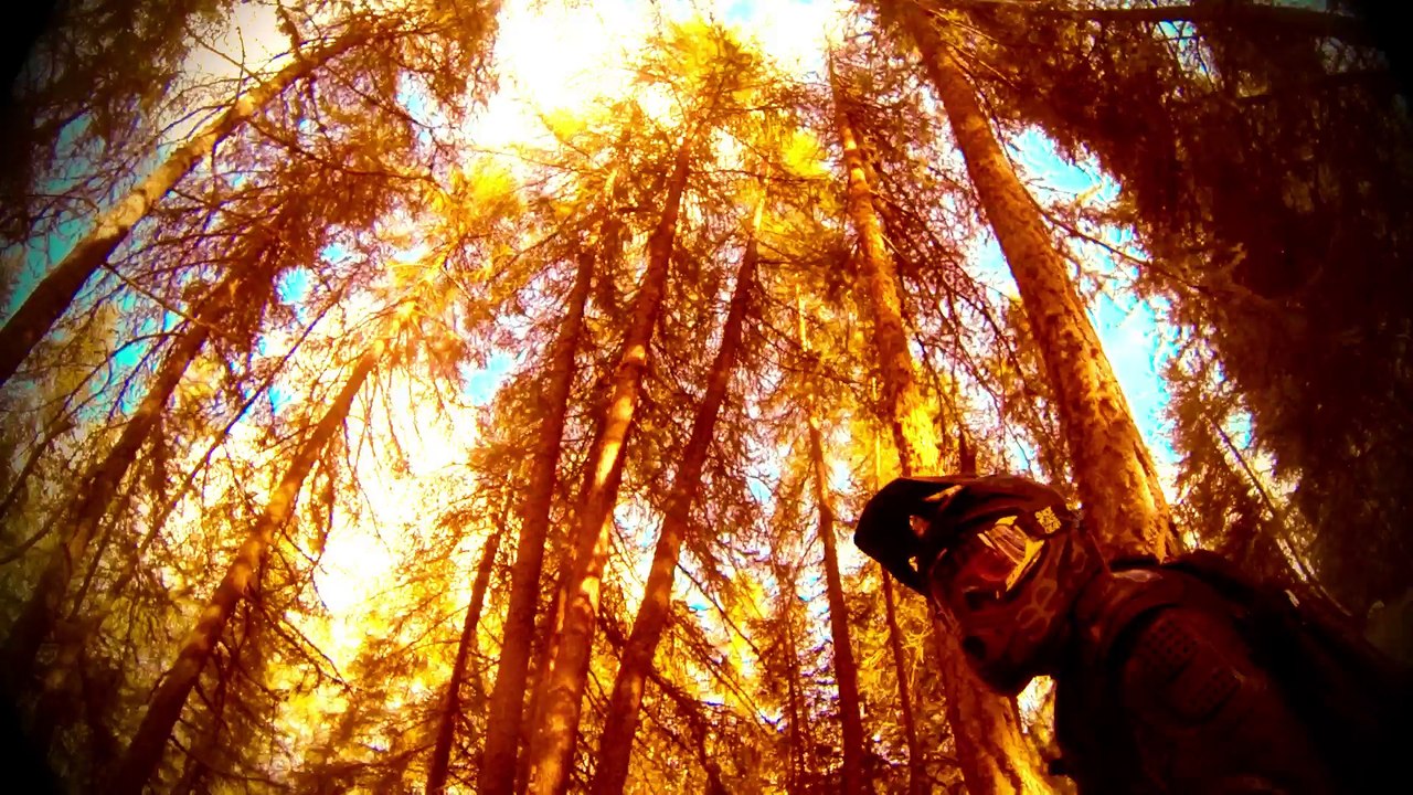 Vtt-Dh-Auron.28.08.2016