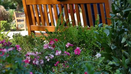 CHAVITA -  JAMAS IMAGINE