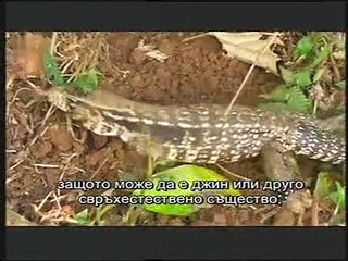 Извънземни от древносттa - Рептилите