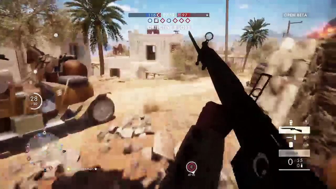Battlefield 1 (9)