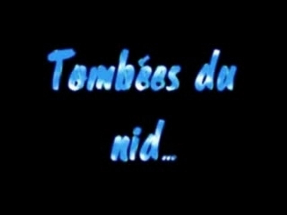 6 bébés mésanges tombés du nid