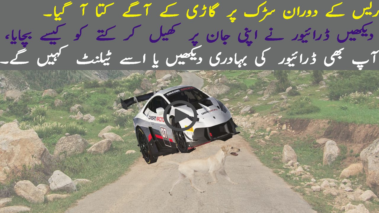 Incredible moment racing car 'jumps' over a DOG and lands safely