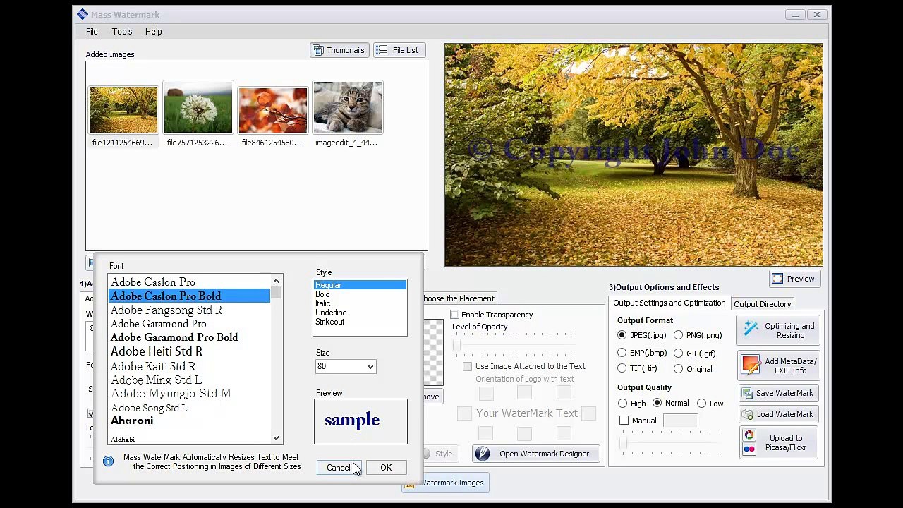 How to add Copyright Symbol and Text Watermark to Multiple Photos