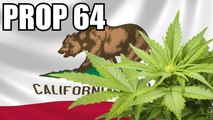 (Prop 64) Marijuana Legalization: It's About More Than Getting HIGH