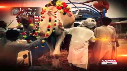 Hoshiyar Qurbani K Janwar Huye Congo Virus Kaa Shikaar - Watch this informative video before buying