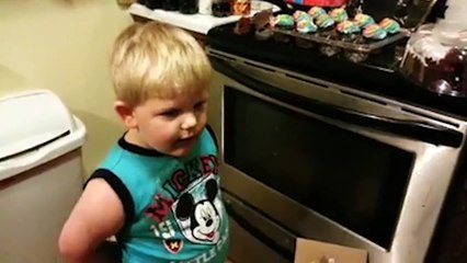 Non j'ai pas mangé les cupcake... C'est papa!