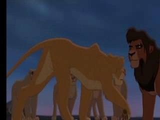 Zira "not ready to make nice"