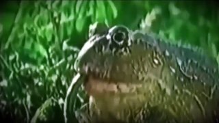 poison dart frog vs snake
