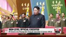 N. Korea Vice Premier executed by firing squad: S. Korean official