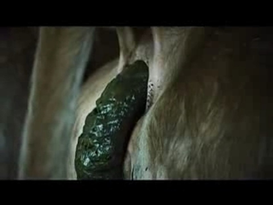 Cowshit_commercial