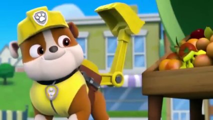 ♧ Animation Movies For Kids ♧ Pups Save a Super Pup ♧ Pups Save Ryders Robot-MJowiNCvRKU