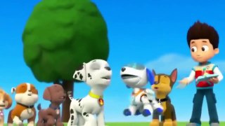 ♧ Animation Movies For Kids ♧ Pups Save a Super Pup ♧ Pups Save Ryders Robot-MJowiNCvRKU