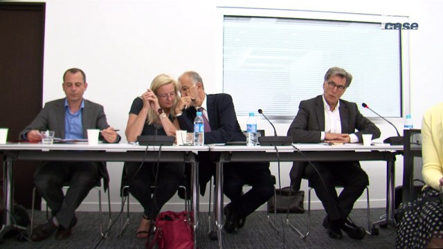 Audition de trois ONG (GRET, CRID, Secours Catholique) - agenda 2030 - cese