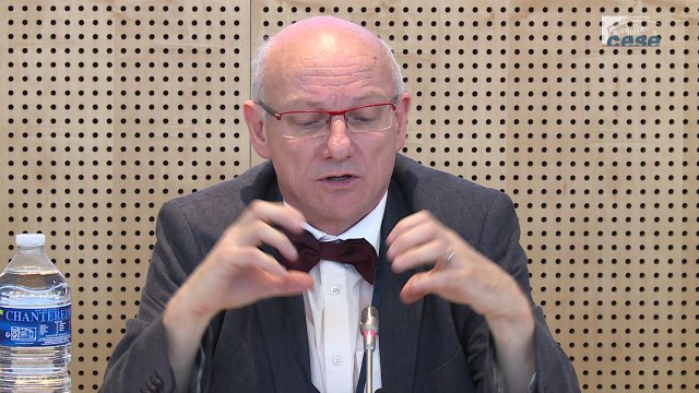 Audition de Didier LESUEUR (ODAS) - Combattre l’isolement social - cese