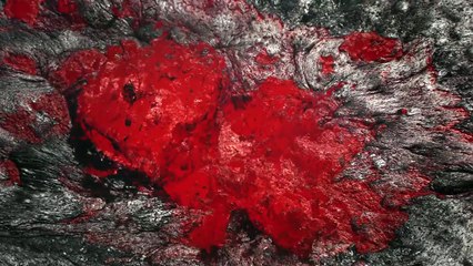 HUMAN by Yann Arthus-Bertrand - Genesis of the film