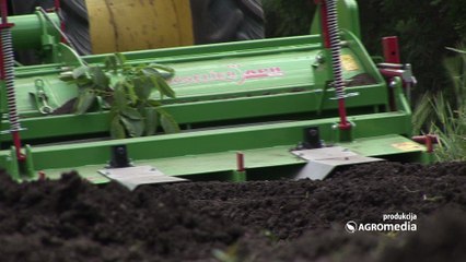 Otkrivamo vam zašto je bankiranje već niklog krompira dobra mera 452