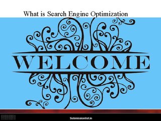 What is Search Engine Optimization