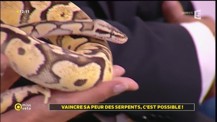 Vaincre sa peur des serpents, c'est possible !