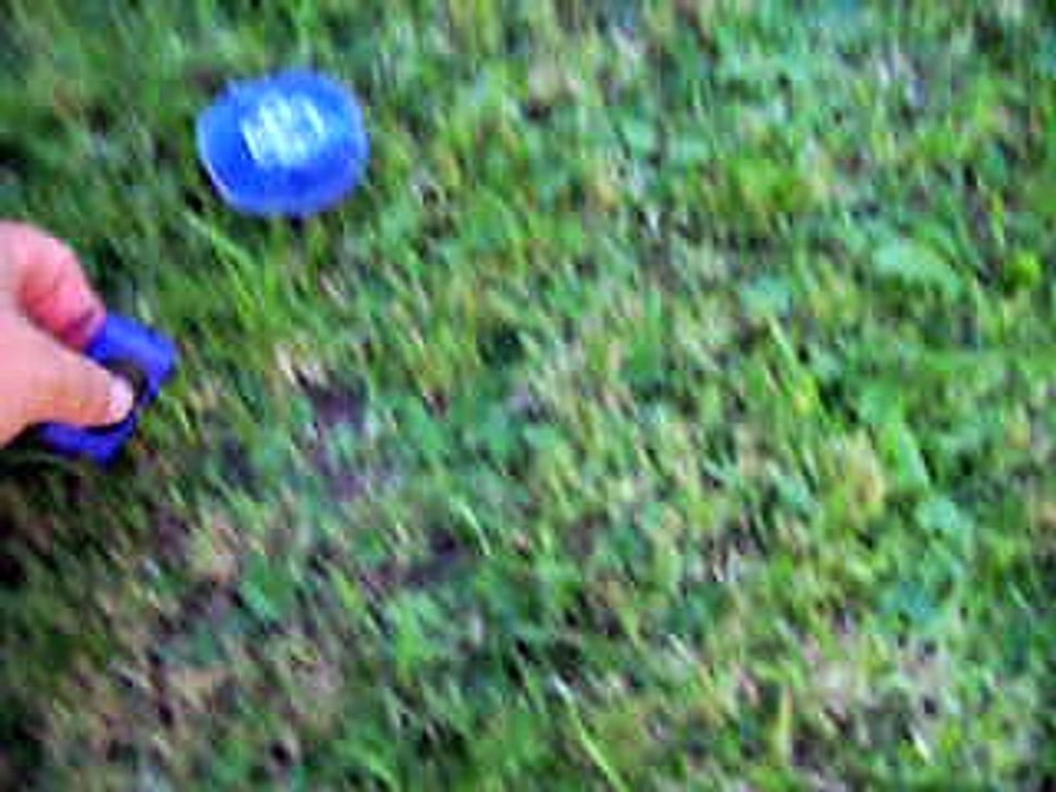 les femelles à 1 mois