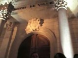 Les mille colombes s'installent en Avignon
