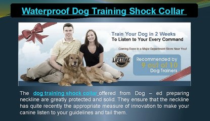 Waterproof dog training shock collar
