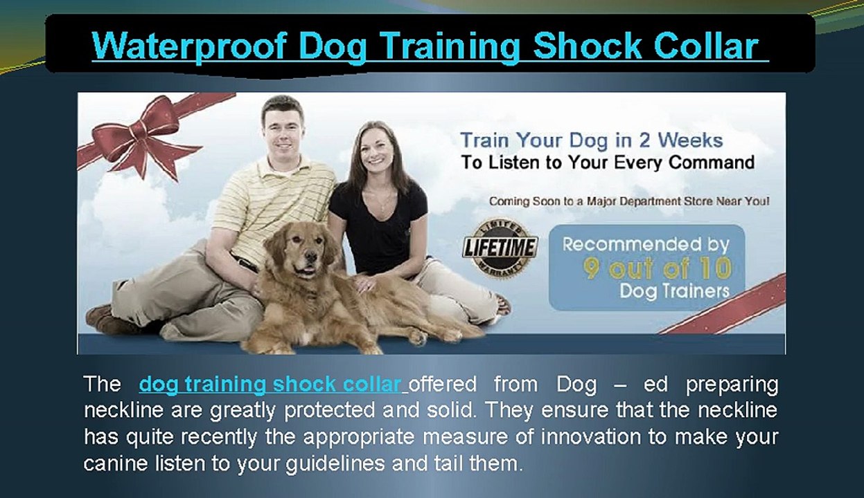 Waterproof dog training shock collar