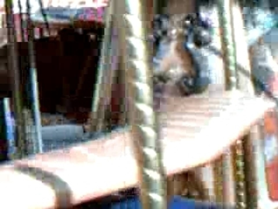 Manège à Vallon-Pont-D'Arc