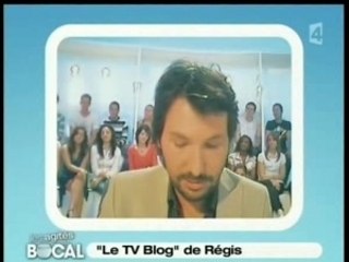 Regis Mailhot Agites du bocal