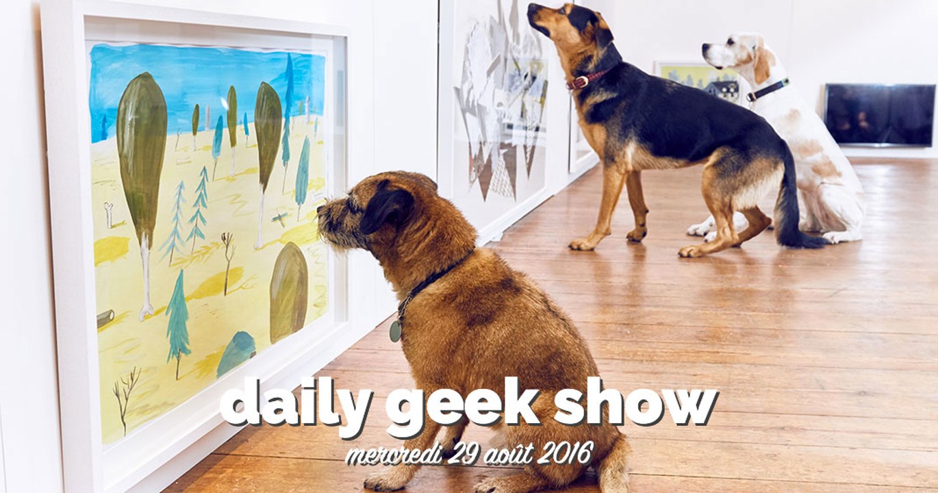 Une expo pour chiens, Star Wars Épisode 9 et Battlefield 1 / #DGS du mercredi 31 août 2016