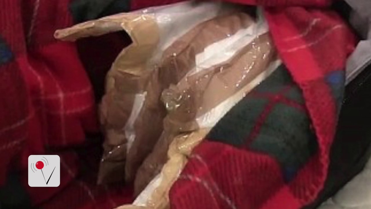 World Travelers Busted for Smuggling $23M of Cocaine on Cruise Ship