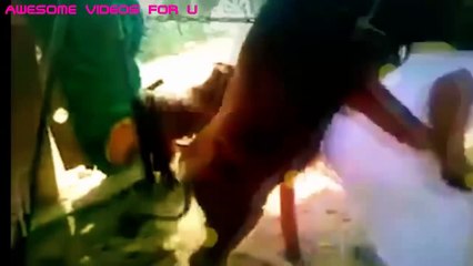 Funny-Videos-2016-Whatsapp--Try-Not-To-Laugh-Challenge--Funny-Girls-Hot-Girls-Fails-Vines