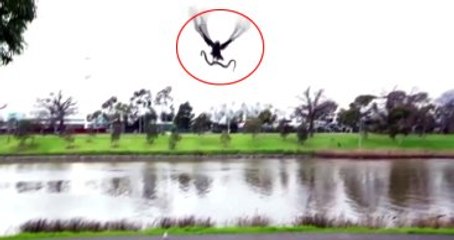 Göl Kenarında Piknik Yapan Ailenin Üzerine Şahin Yılan Attı