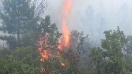 Ormanlık Alanda Çıkan Yangın Söndürülmeye Çalışılıyor