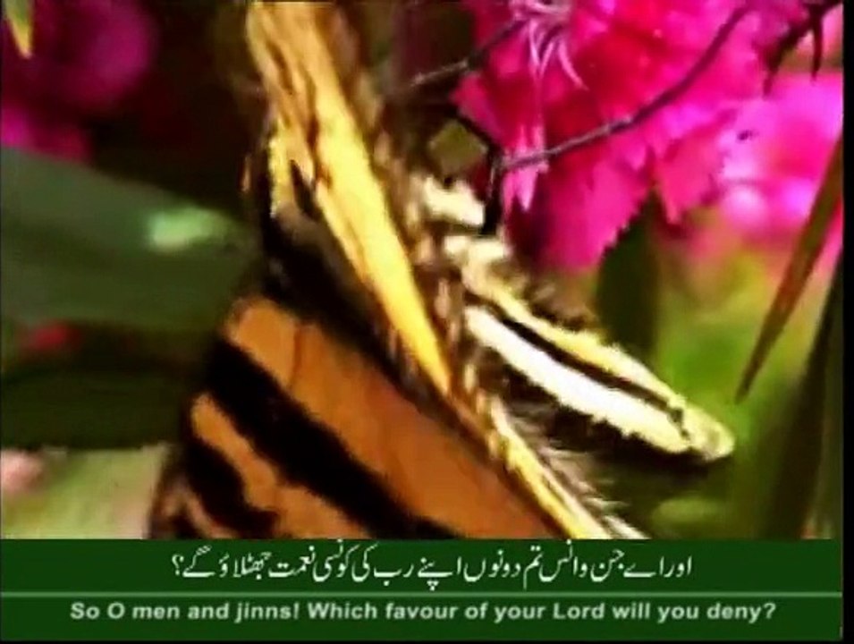 Amazing Video of Sura e Rahman