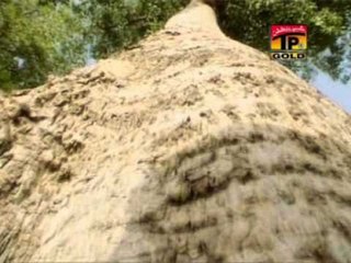 Anmol Sayal - Tere Naal Dholna