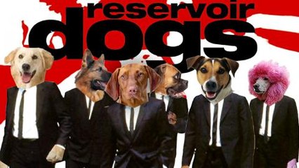 Top 10 Misleading Movie Titles of Popular Films