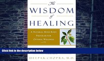 Big Deals  The Wisdom of Healing: A Natural Mind Body Program for Optimal Wellness  Best Seller