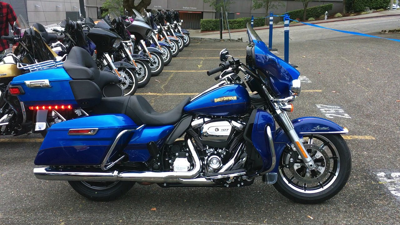 Harley-Davidson Milwaukee Eight Bagger Walkaround with Sound