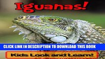 [New] Iguanas! Learn About Iguanas and Enjoy Colorful Pictures - Look and Learn! (50  Photos of