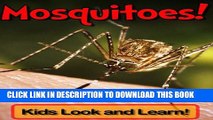 [New] Mosquitoes! Learn About Mosquitoes and Enjoy Colorful Pictures - Look and Learn! (50  Photos