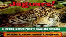 [New] Jaguars! Learn About Jaguars and Enjoy Colorful Pictures - Look and Learn! (50  Photos of