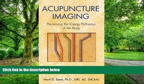 Big Deals  Acupuncture Imaging: Perceiving the Energy Pathways of the Body  Best Seller Books Most