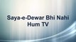 Saya-e-Deewar Bhi Nahi | Hum TV | Story-Line | Cast and Crew