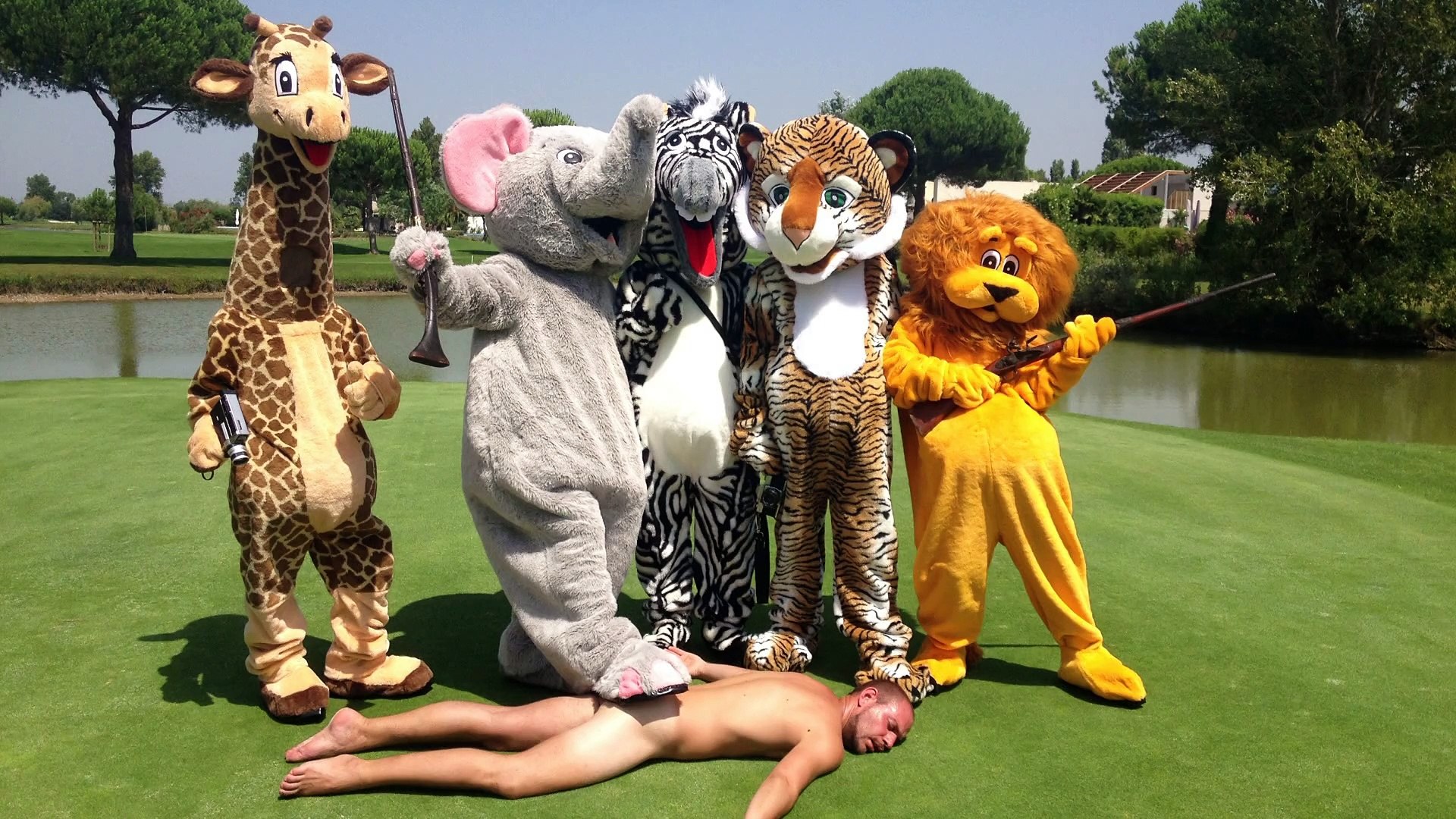 animals - SAFARI  shoot pictures not animals