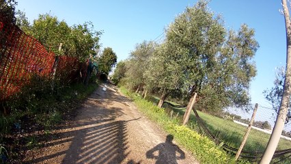 max nino angelo 1