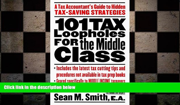 READ book 101 Tax Loopholes for the Middle Class: A Tax Accountant s Guide to Hidden Tax-Saving